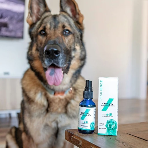 Cbd pour chien stress