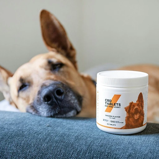 Apaiser votre chien avec l'huile de CBD : une solution naturelle