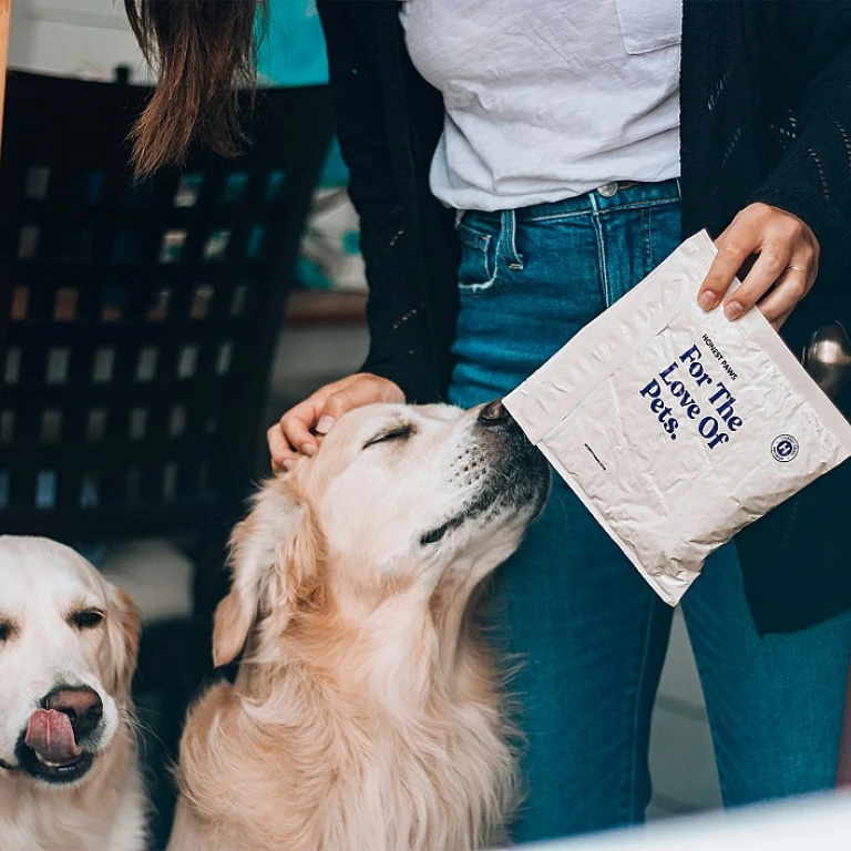 Le CBD : un allié pour les chiens atteints de cancer