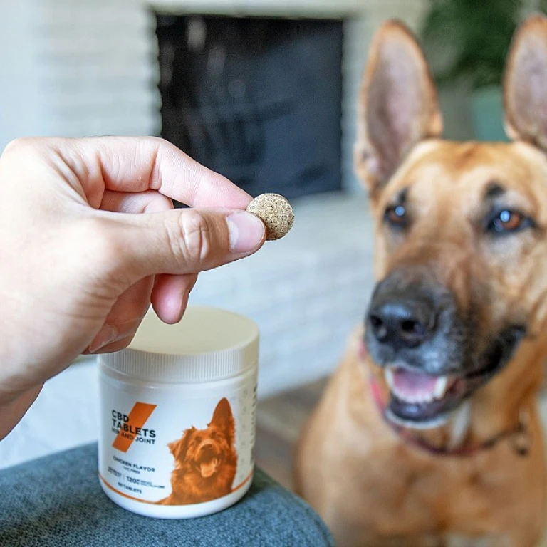 Le CBD pour soulager les allergies de votre chien